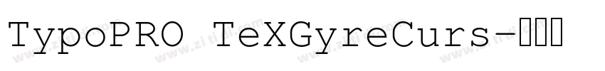 TypoPRO TeXGyreCurs字体转换 TypoPRO TeXGyreCurs字体转换
